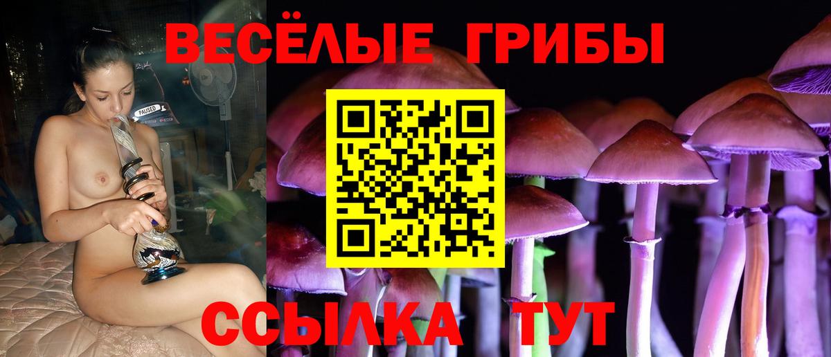 Ковров  как найти наркотики  Вход с VPN  Галлюциногенные грибы MAGIC MUSHROOMS 