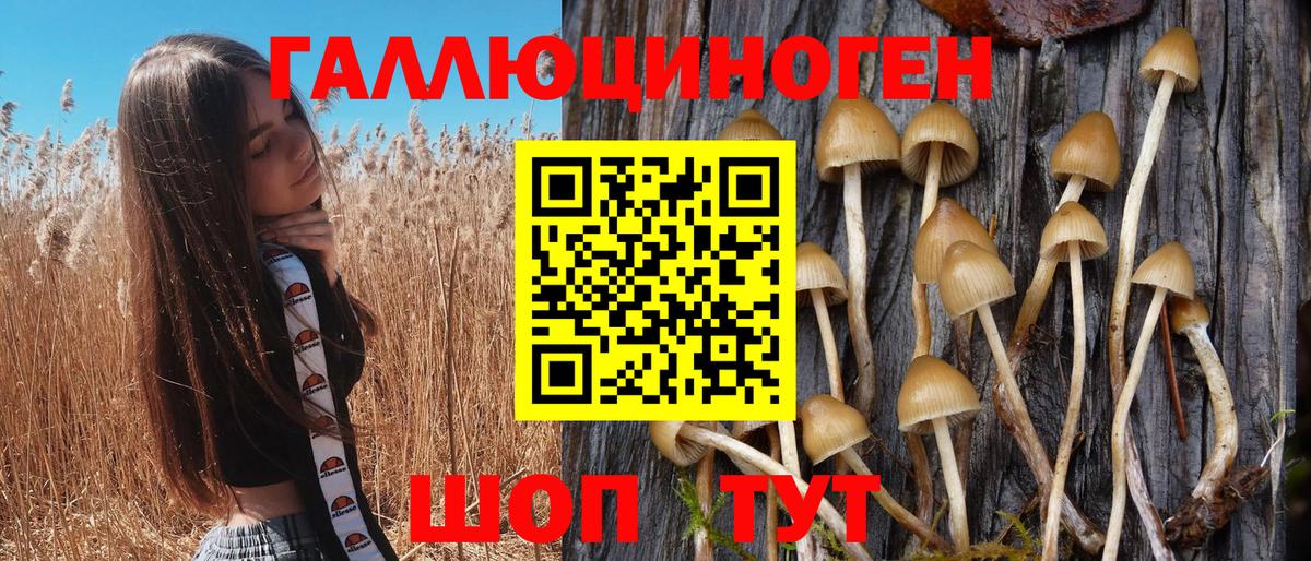 Псилоцибиновые грибы мухоморы Ковров